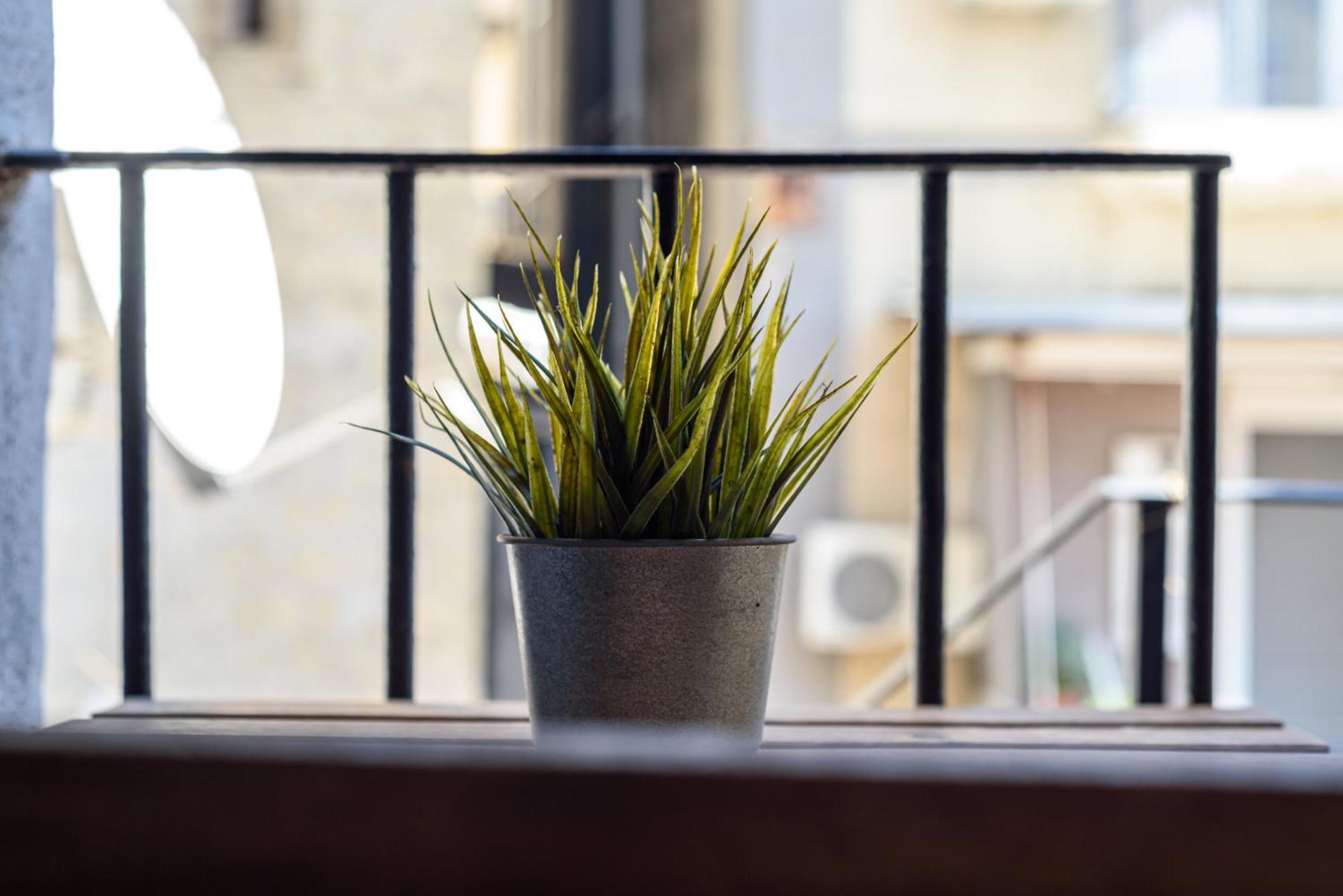 La Terrazzina Sul Porto Appartement Napels Buitenkant foto